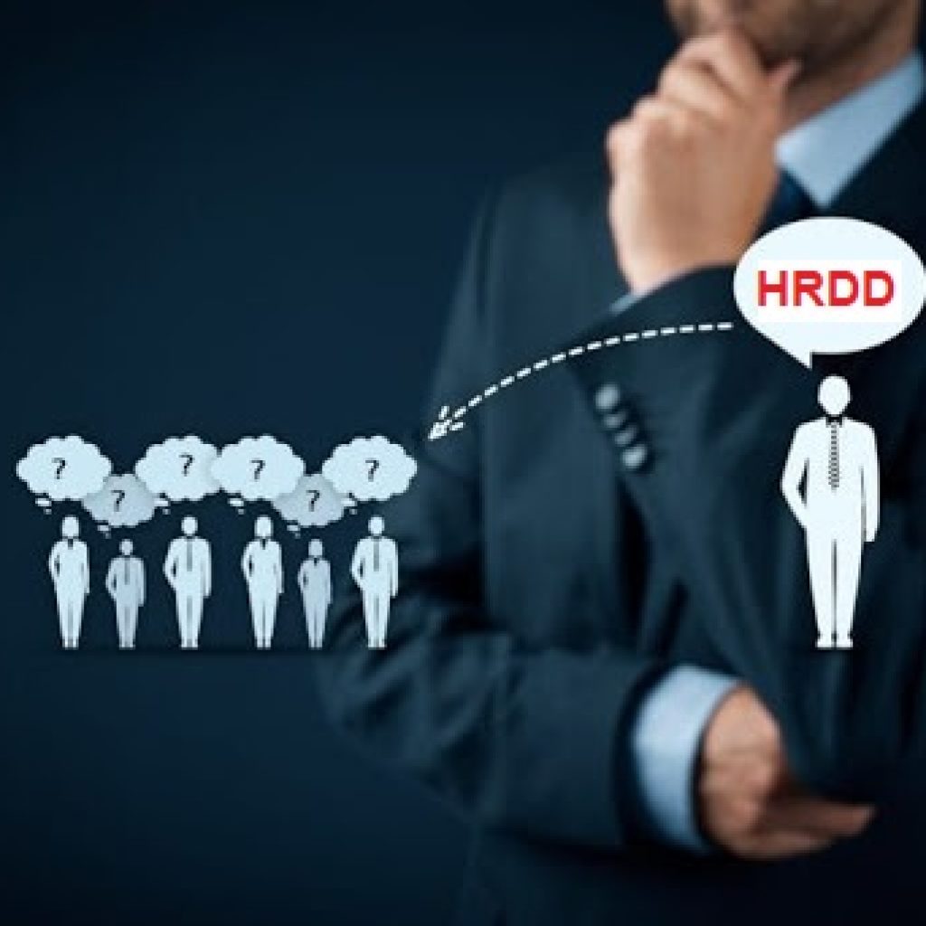 HRDD - GIÁM ĐỐC PHÁT TRIỂN NGUỒN NHÂN LỰC